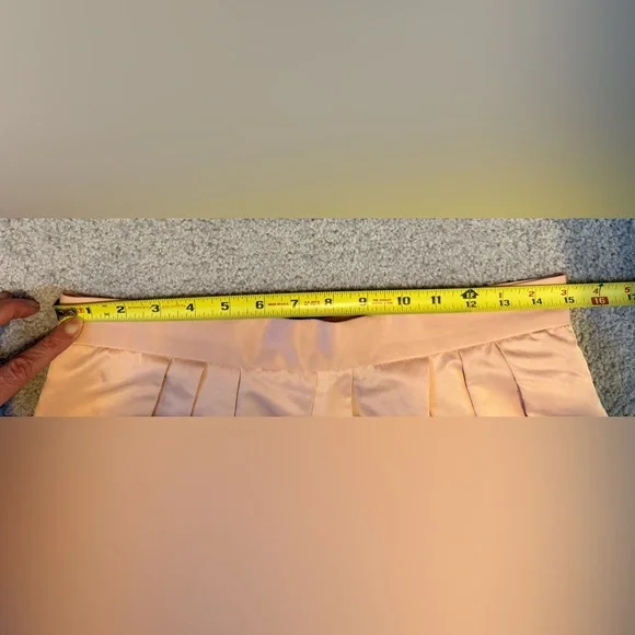 Banana Republic Blush A-Line Pleated Skirt - Picture 6 of 6